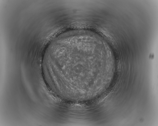 X0000089920737200707201818