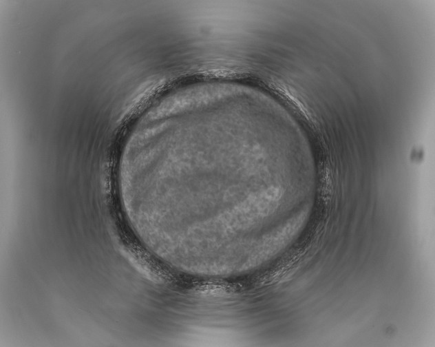 X0000089920738200707201818