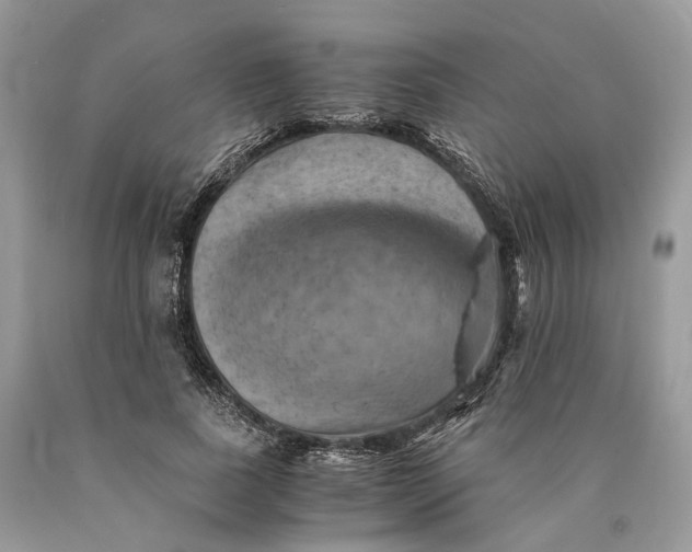 X0000089920739200707201818