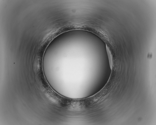 X0000089920740200707201818