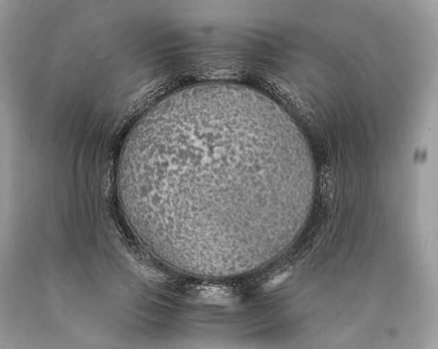 X0000089920741200707201818