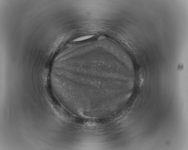 X0000089920742200707201818