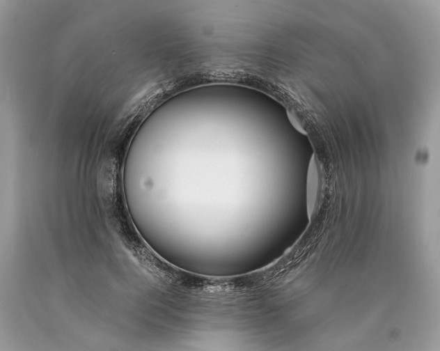 X0000089920744200707201818