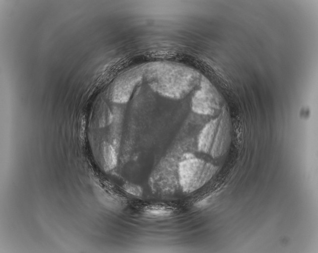 X0000089920745200707201818