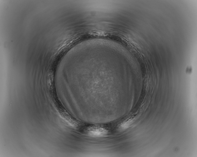 X0000089920747200707201818