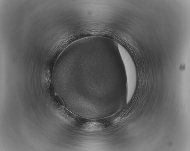 X0000089920748200707201818