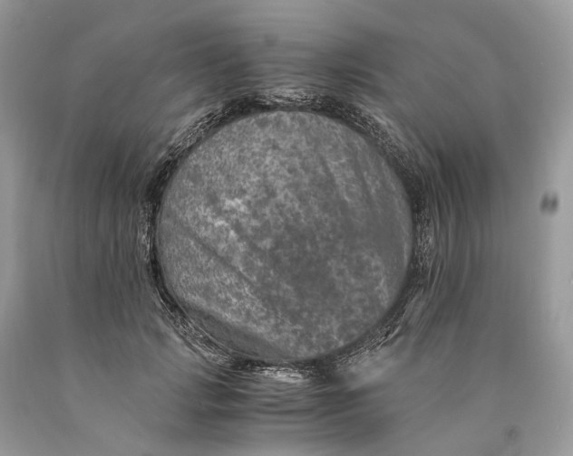 X0000089920749200707201818