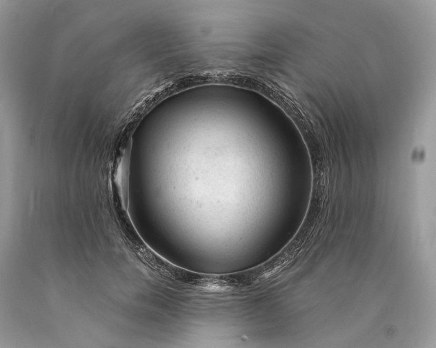 X0000089920750200707201818