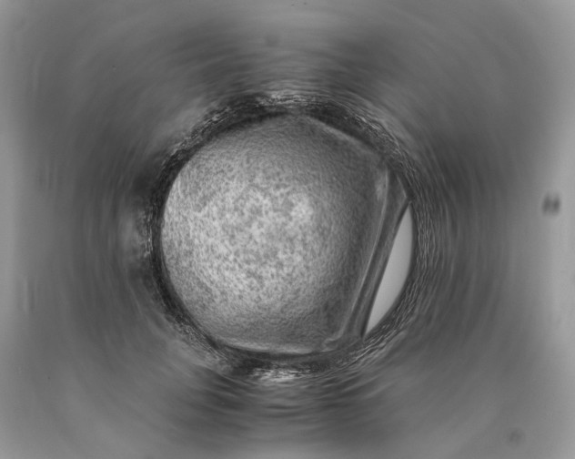 X0000089920751200707201818