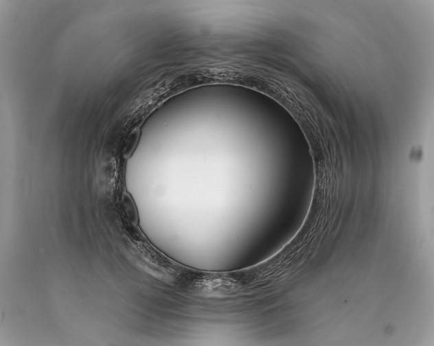 X0000089920752200707201818