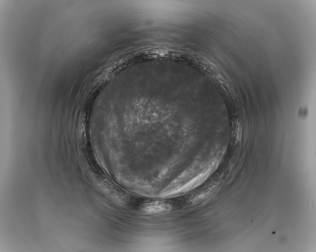 X0000089920754200707201818