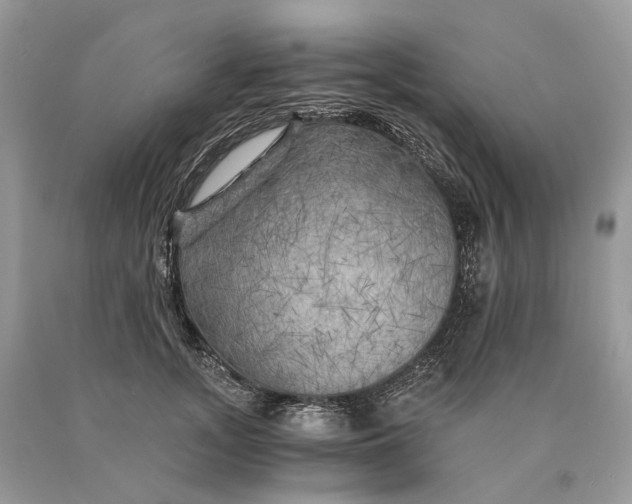 X0000089920755200707201818