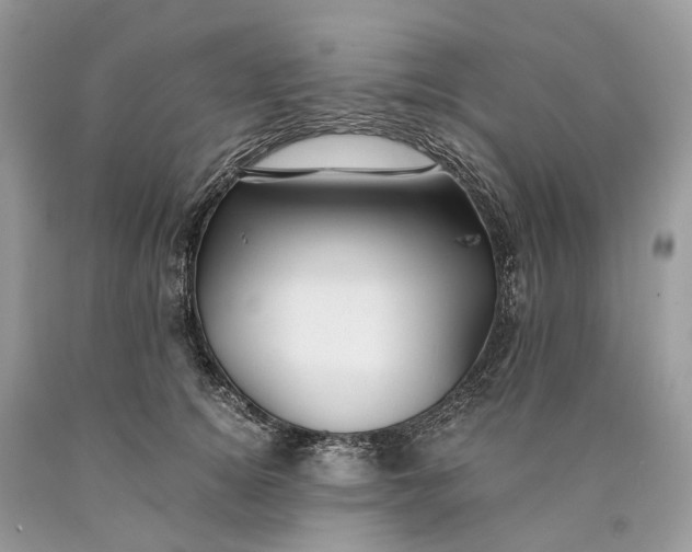 X0000089920756200707201818