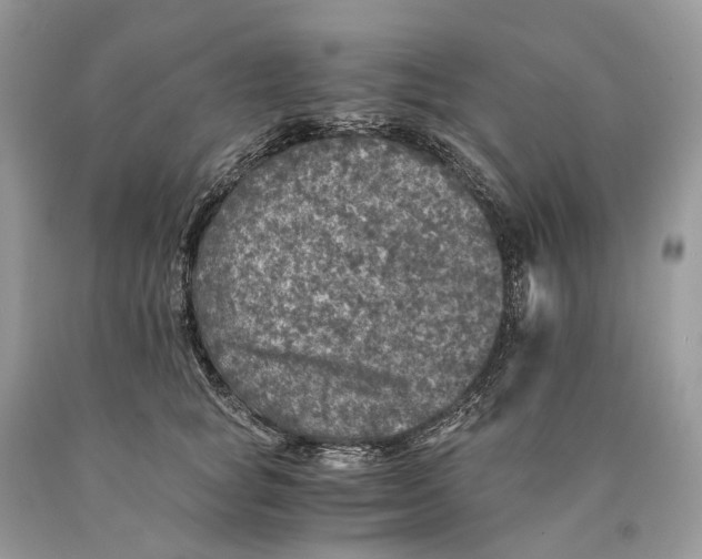 X0000089920757200707201818