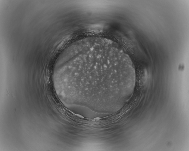 X0000089920758200707201818