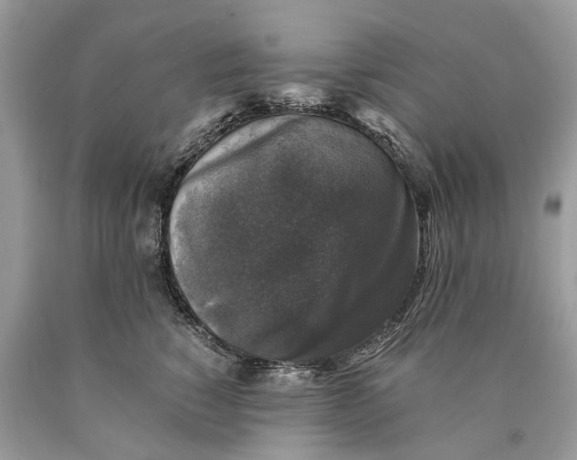 X0000089920760200707201818