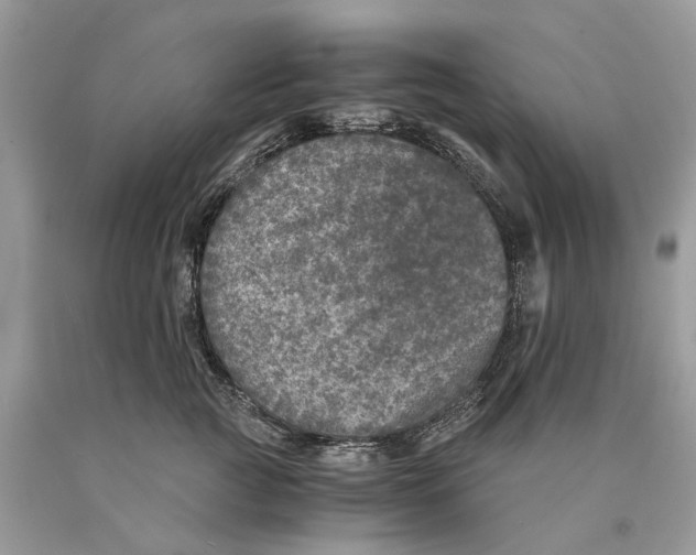 X0000089920761200707201818