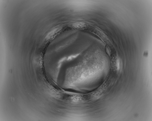 X0000089920762200707201818