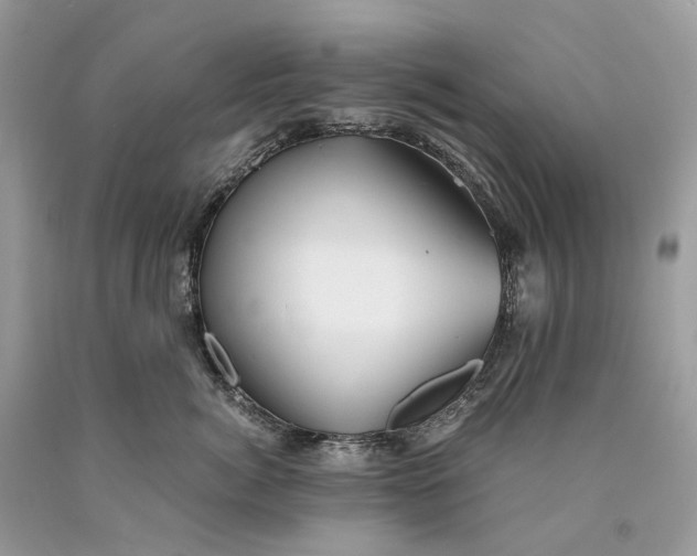 X0000089920764200707201818