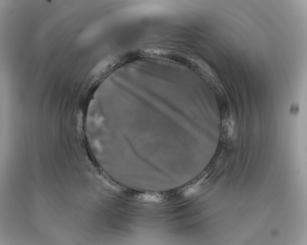 X0000089920765200707201818