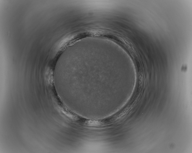 X0000089920766200707201818