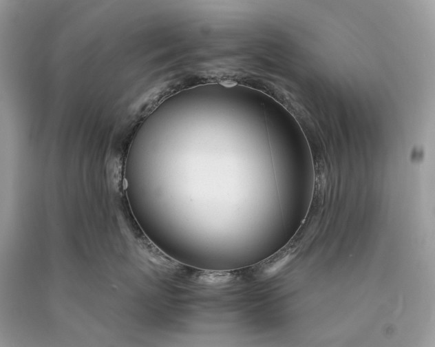 X0000089920767200707201818