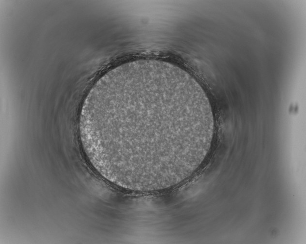 X0000089920769200707201817