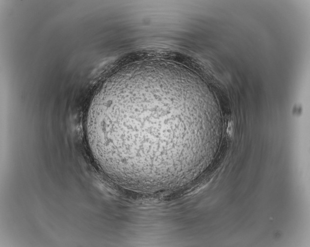 X0000089920771200707201817