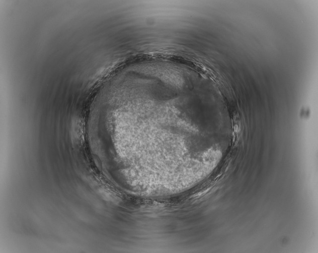 X0000089920772200707201817