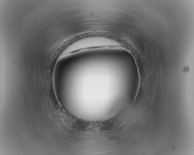 X0000089920773200707201817