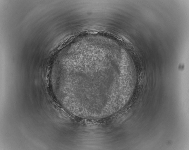 X0000089920774200707201817