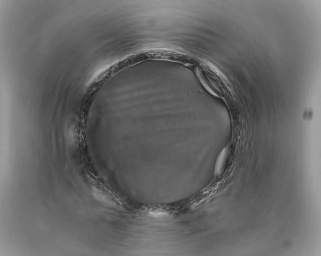 X0000089920775200707201817