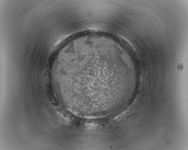 X0000089920776200707201817