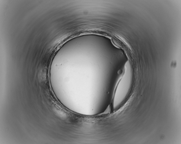 X0000089920777200707201817