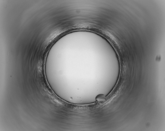 X0000089920778200707201817