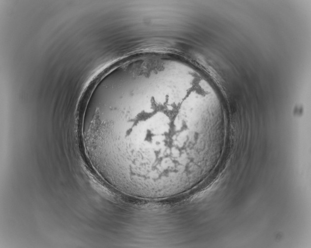 X0000089920779200707201817