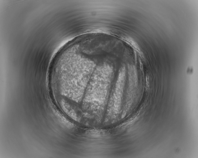 X0000089920780200707201817