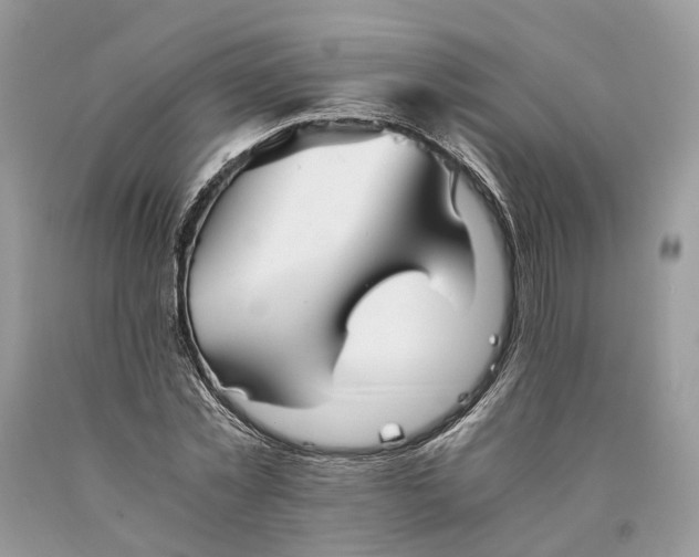 X0000089920781200707201817