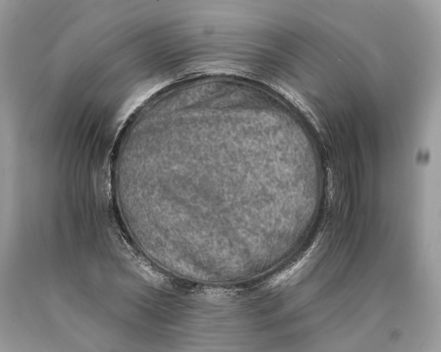 X0000089920782200707201817