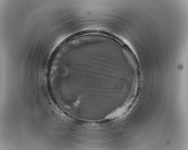 X0000089920783200707201817