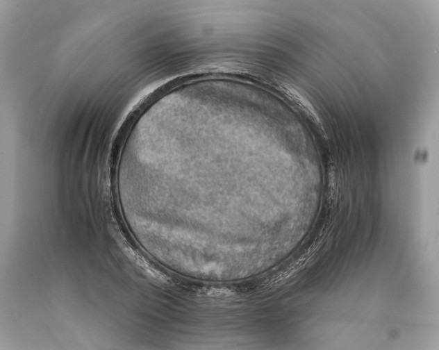 X0000089920784200707201817