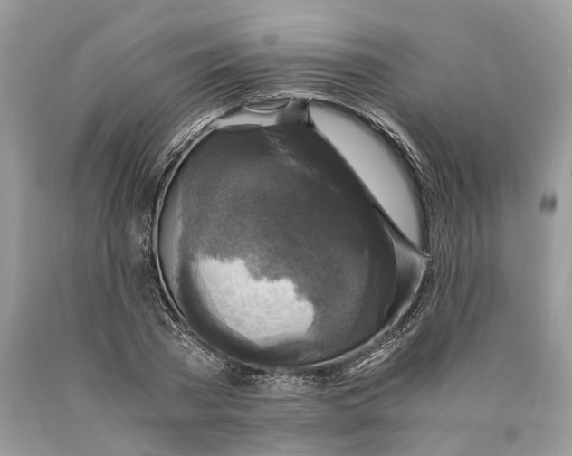 X0000089920785200707201817