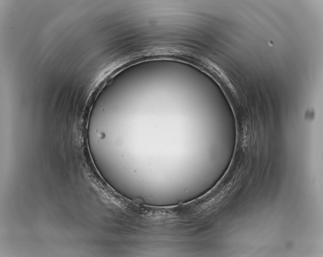 X0000089920786200707201817