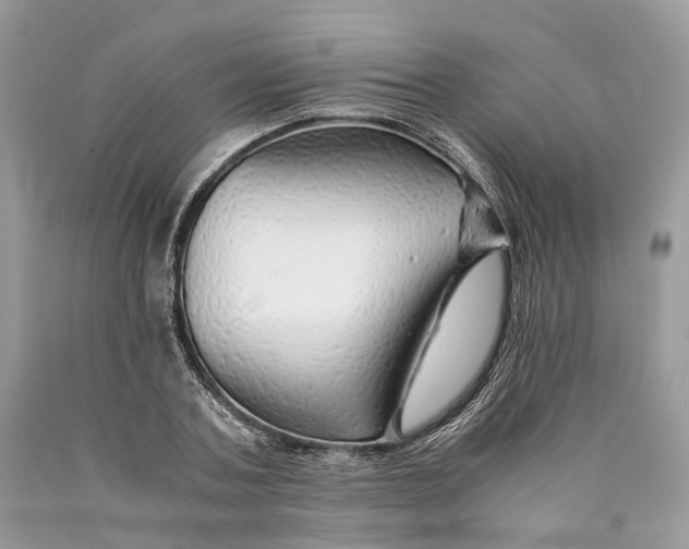 X0000089920787200707201817