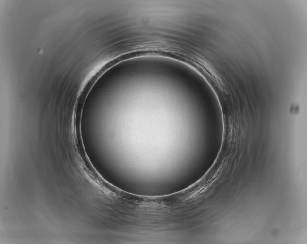 X0000089920788200707201817