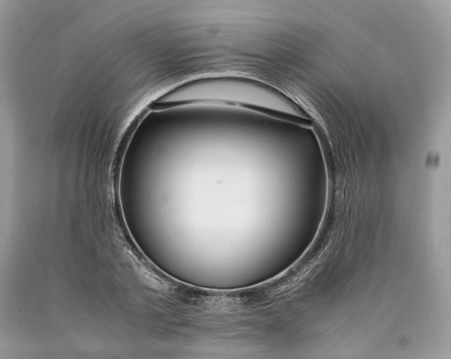 X0000089920789200707201817