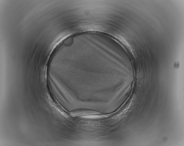 X0000089920790200707201817