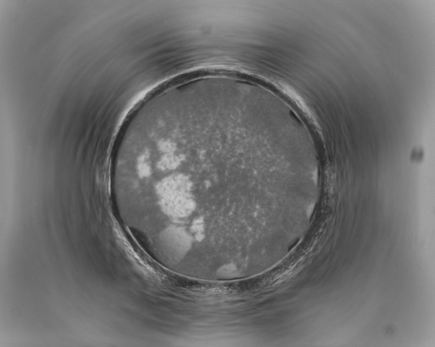 X0000089920791200707201817