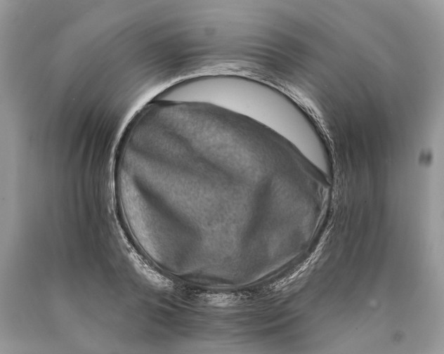 X0000089920792200707201817