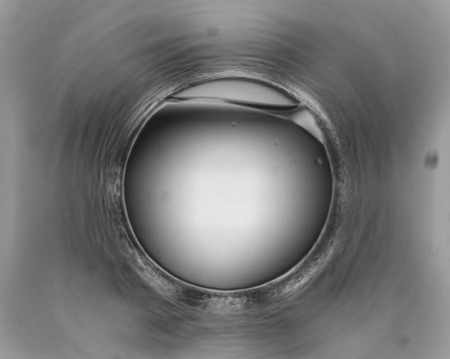 X0000089920793200707201817